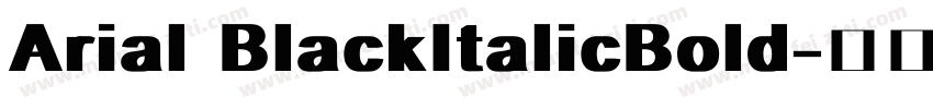 Arial BlackItalicBold字体转换